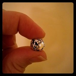 All around the world Pandora charm